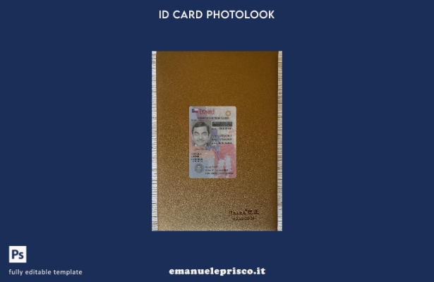 stile verificato USA Texas sotto il modello frontale photolook della carta d'ide